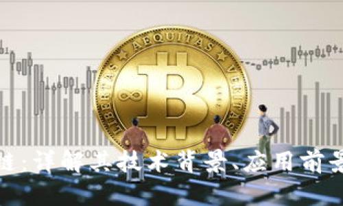 尼玛币区块链：详解其技术背景、应用前景与投资风险